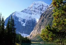 关于布鲁诺·费尔南德斯赛点兑现，纽约尼克斯淘汰明尼苏达森林狼晋级四强，主帅激动落泪的信息